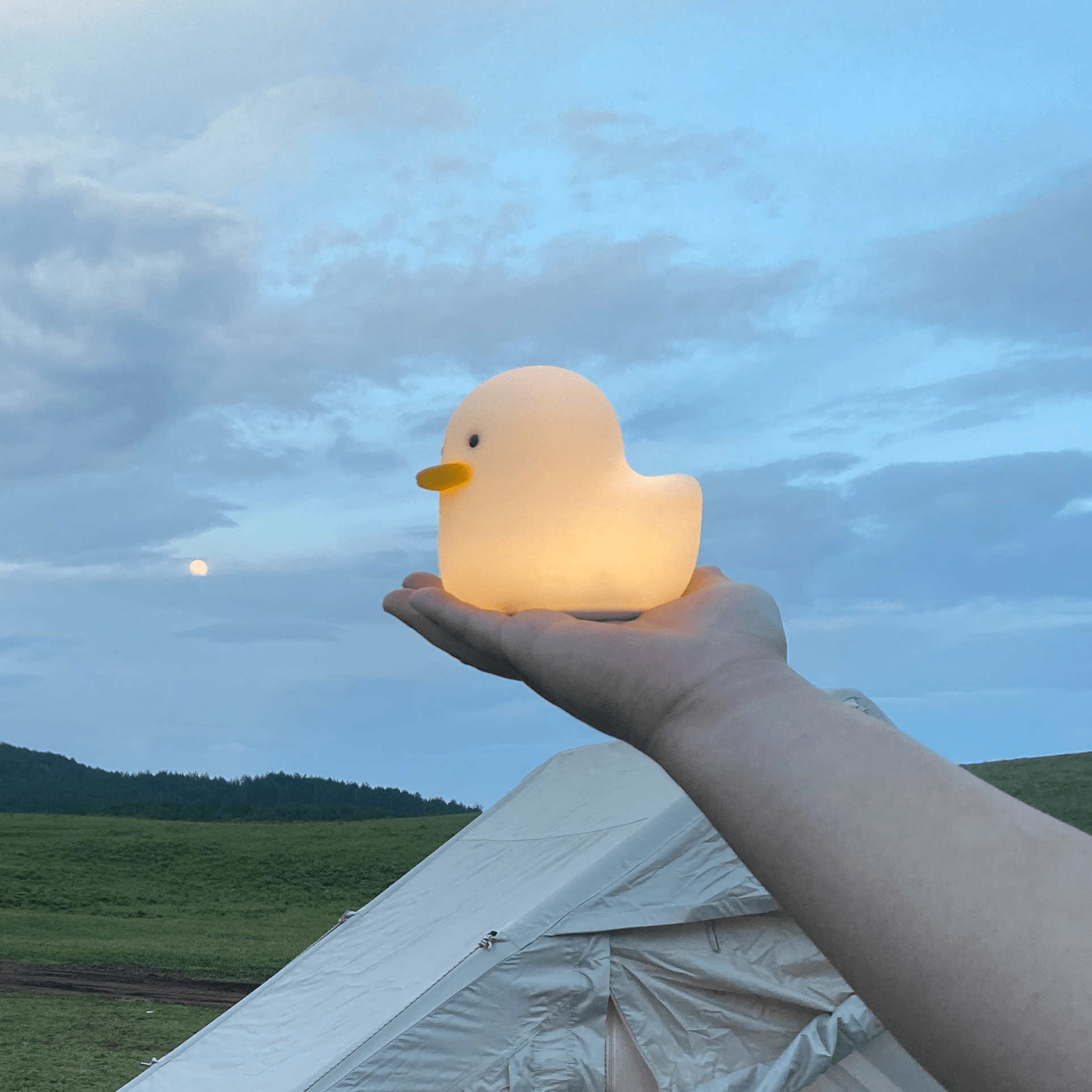 Offline Voice Control Benson Duck Sleep Lamp Night Light