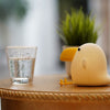 Baby Chibi Parrot LED Night Light